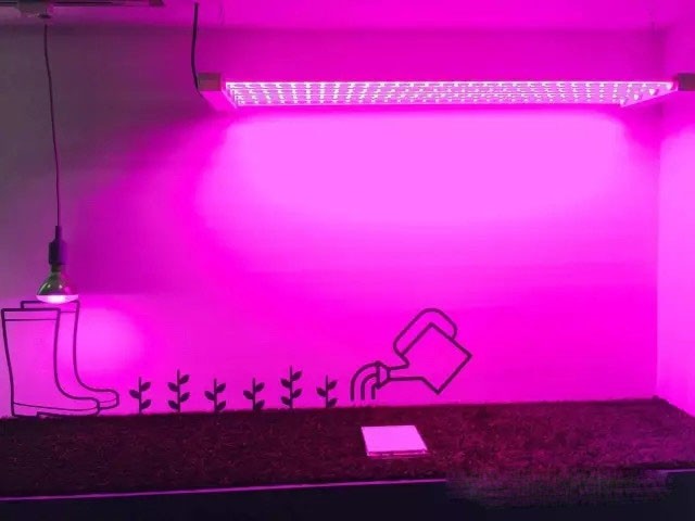 法拉克福觀展印象：OLED照明、植物照明、裝飾照明