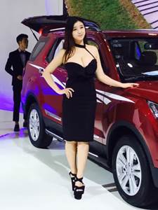 2016海西汽博會(huì)廈門(mén)國(guó)際會(huì)議展覽中心7月1日開(kāi)展(圖4)